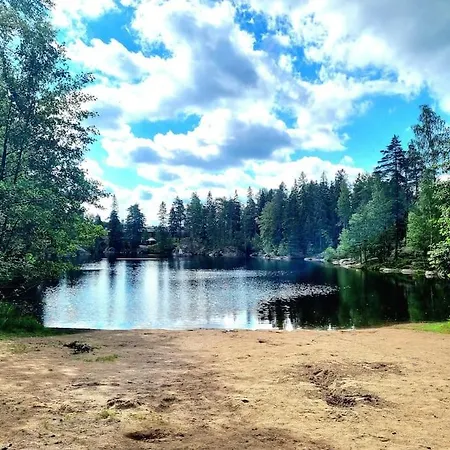 Saunalla Ja Paljulla Korpilammen Rannalla *